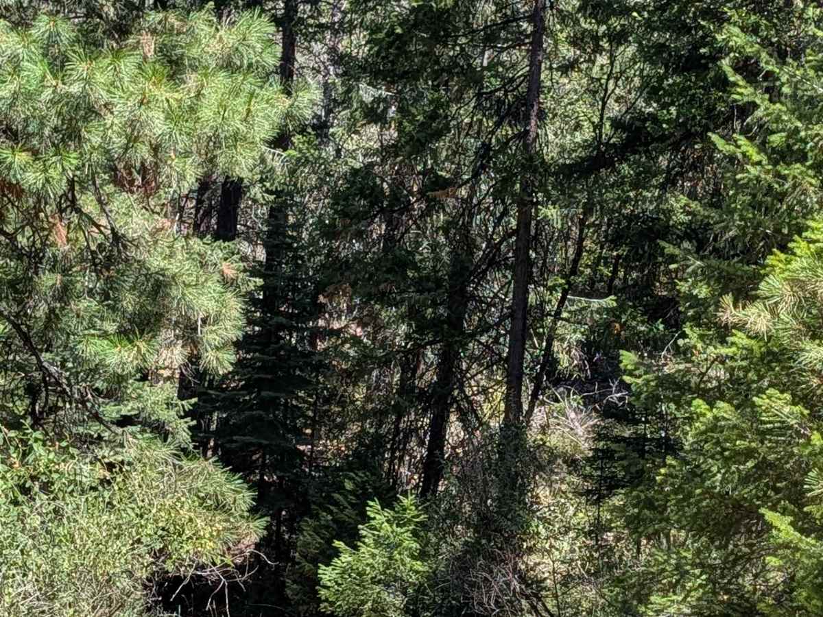 Pit Southwest Mountain - FS 36N21 photo 6