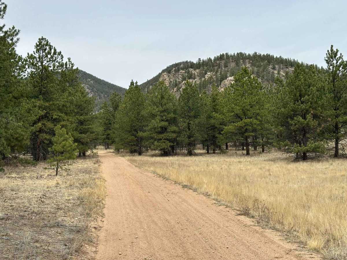 Burns Park Road trail photo