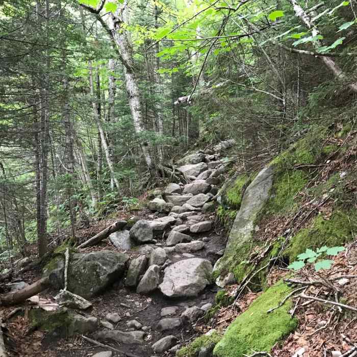 Near The Presidential Traverse