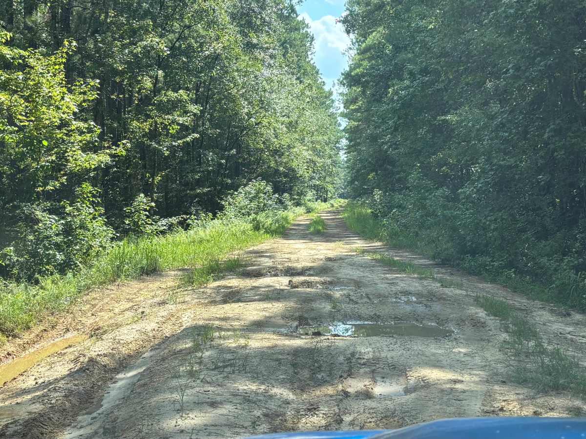 Litchfield Trail  photo 3
