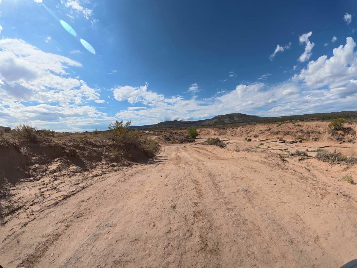 BLM 014 photo 5