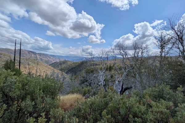Ferguson Gulch - FS 3S023
