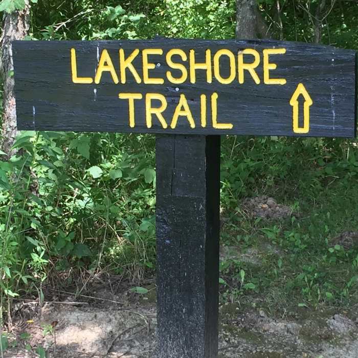 Near Lakeshore Trail