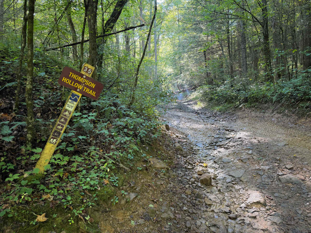 Thompson Hollow 35  photo 4