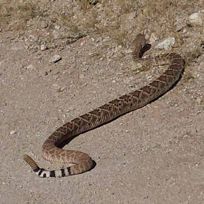 Near Honeybee Canyon Loop