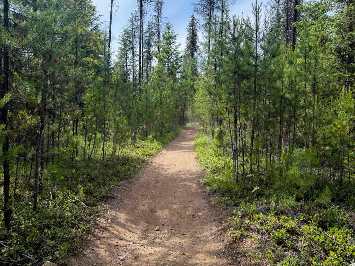 Sherry Spur Ditch Trail   photo 2