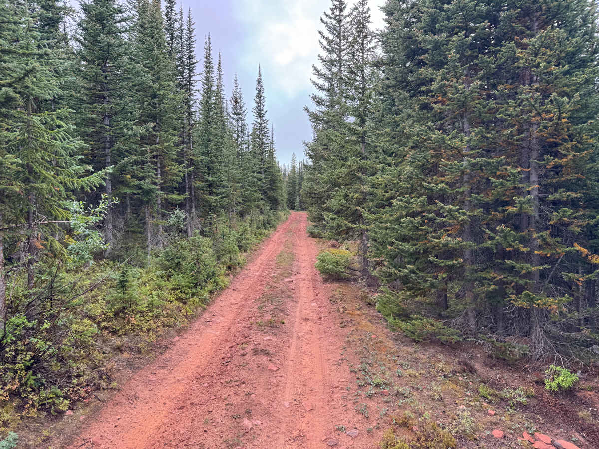 Kobey Park - Link Road photo 5