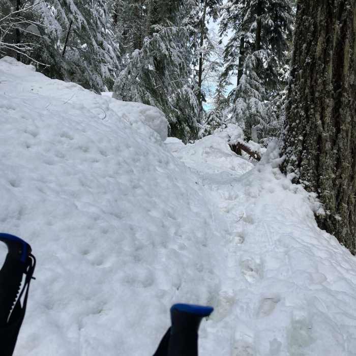 Near North Ridge Trail