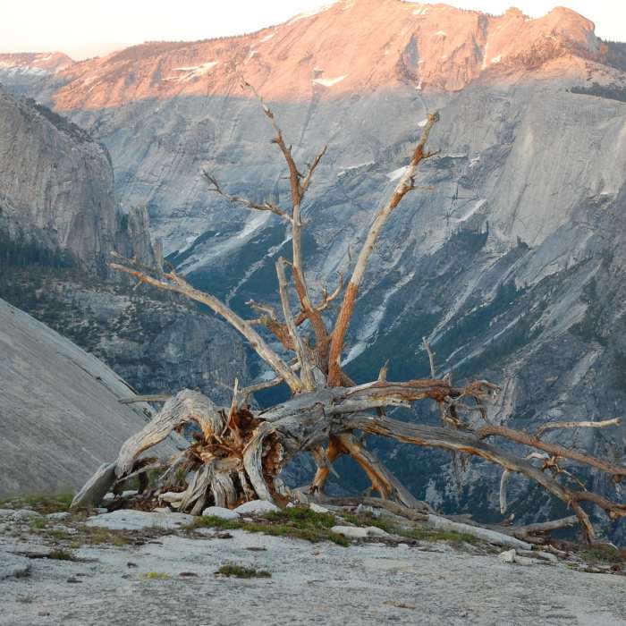 Views galore en route to North Dome. Near North Dome Summit Trail