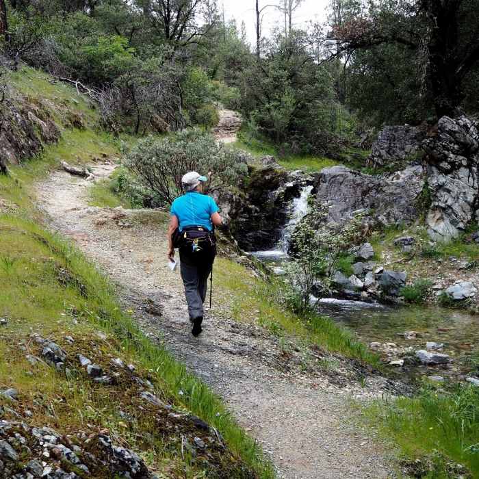 Near Mt. Shasta Mine Trail
