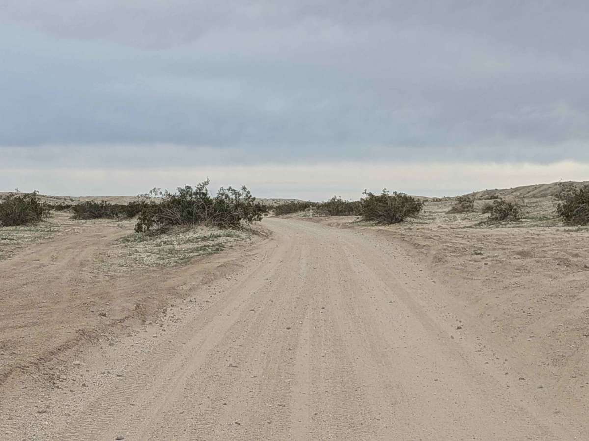 Morton Road photo 2