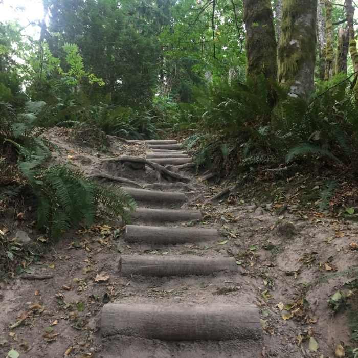 Near Cable Line Trail