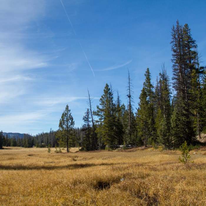 Near Lofty Lake Loop Hike