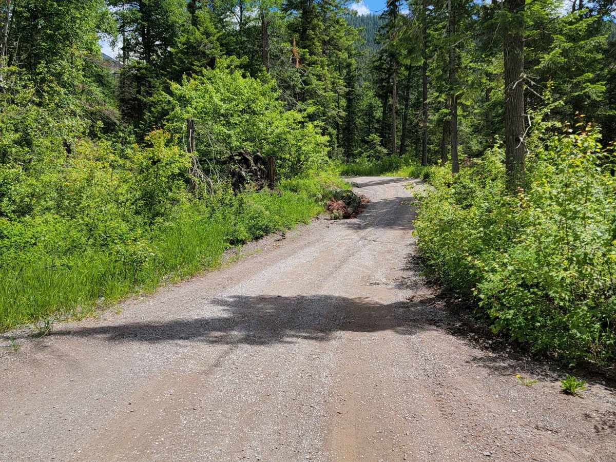 Jewel Basin Road photo 6