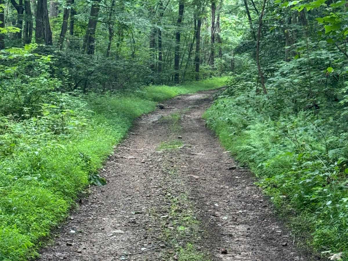 Trail 73 photo 5