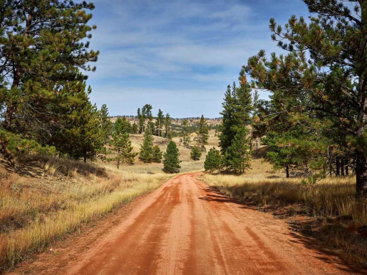 Wilbur Creek Cutoff Road photo 4