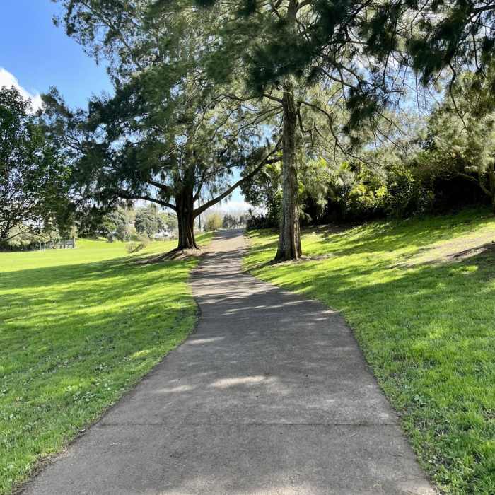 Near Grey Lynn Greenway Near Grey Lynn Greenway