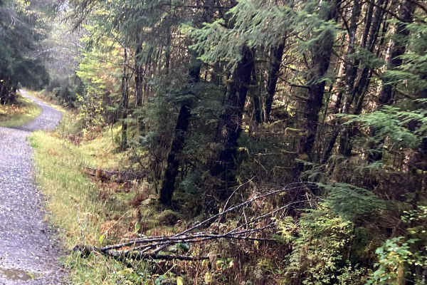 Ridge Spur 2050400