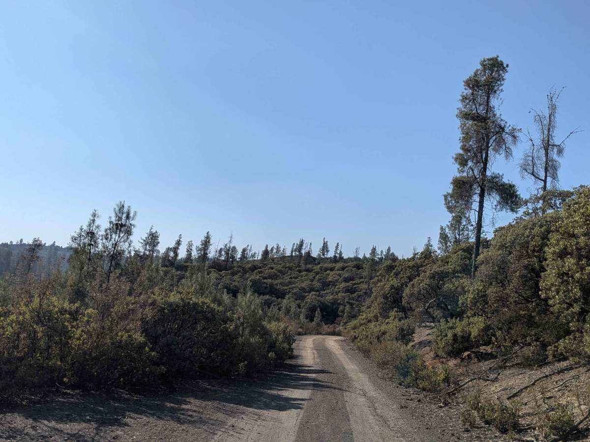 FS 3S10 trail photo