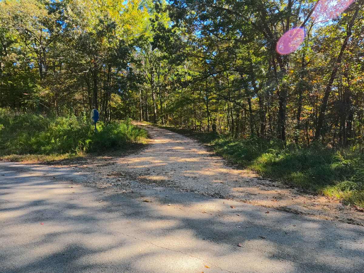Wallace Road - FS 156 photo 3