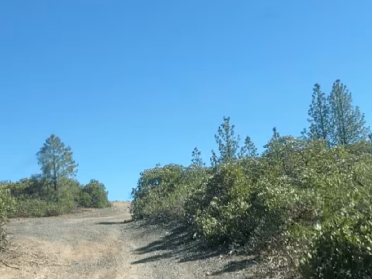 Pringle Butte Trail photo 5
