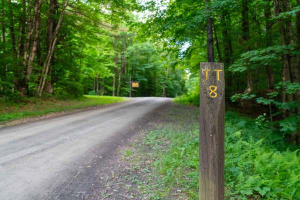 Truck Trail 8