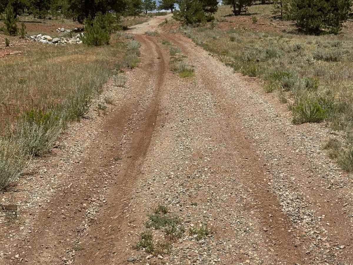 Ponderosa Road photo 5