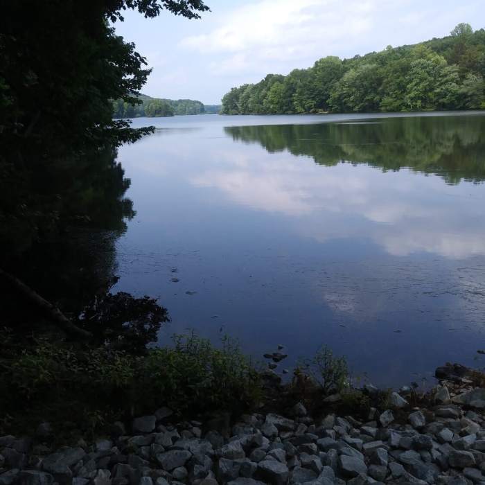 After a short while, if you get off the trail, you get a great view of the reservoir. Near Pyramid Mountain Loop