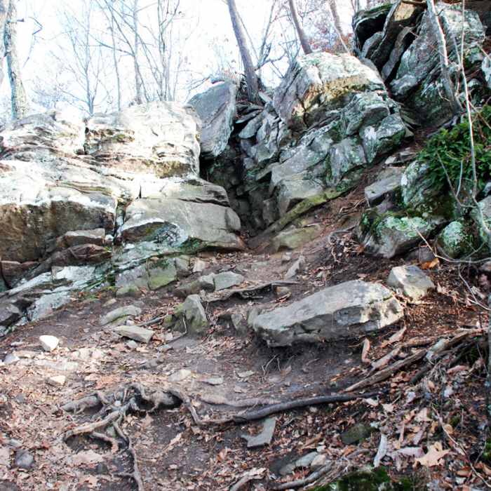 Near George Disney Trail