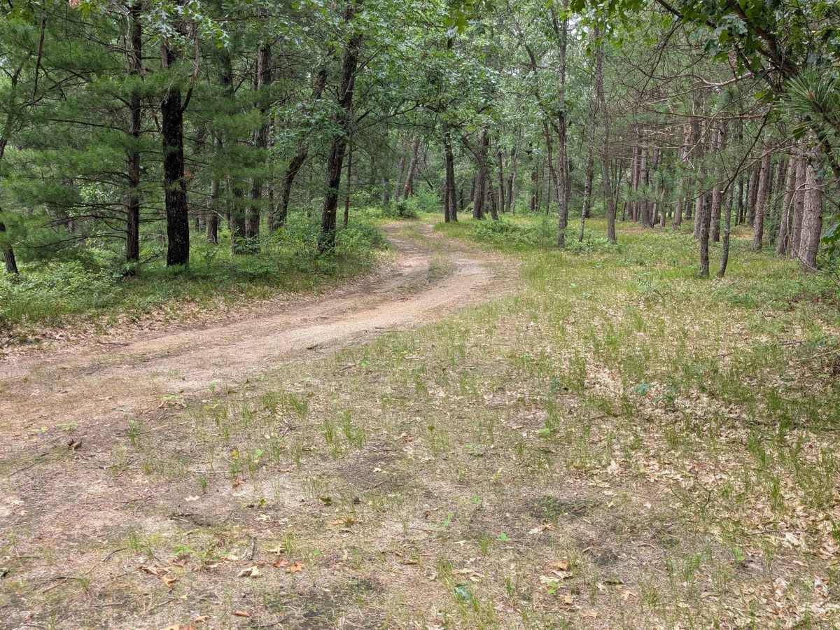 McArdle Road - FS 4432 trail photo