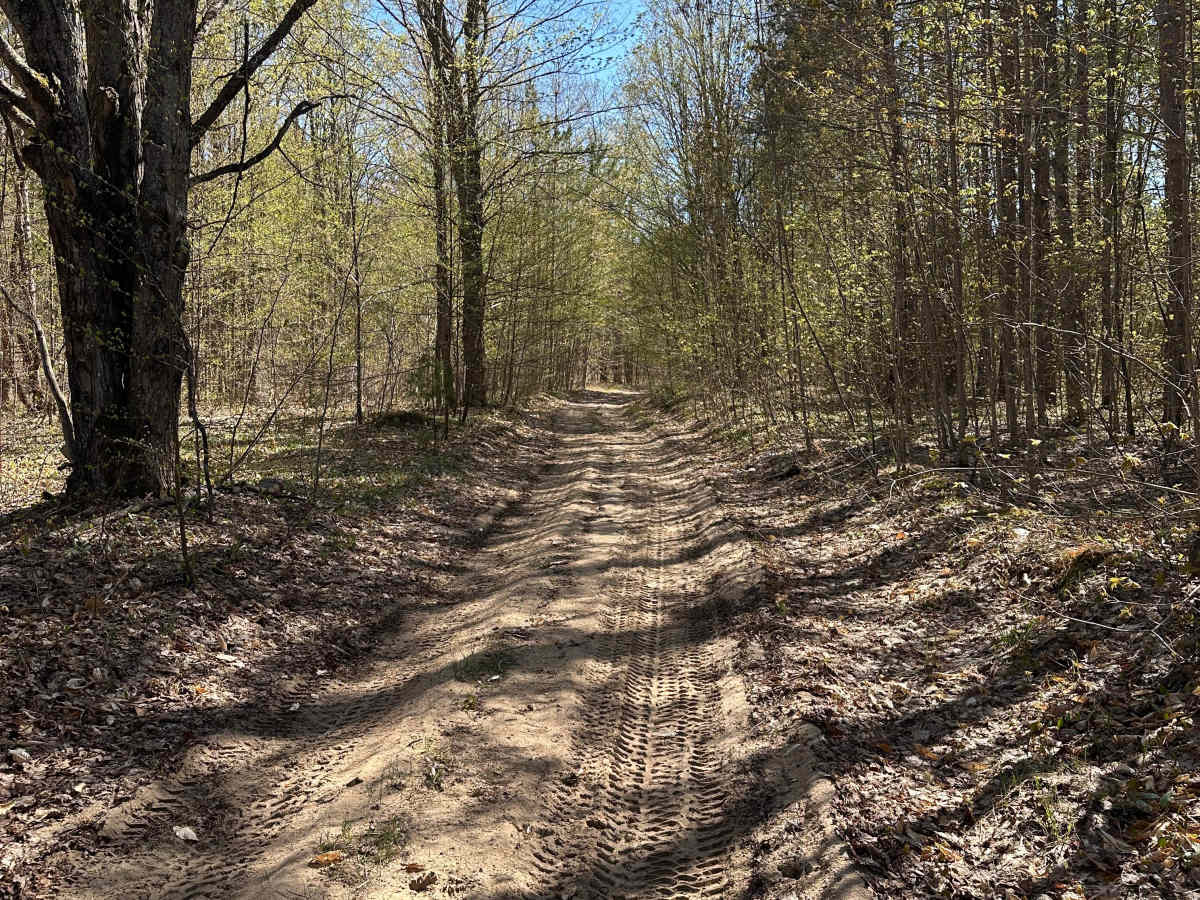 Summit Road photo 5