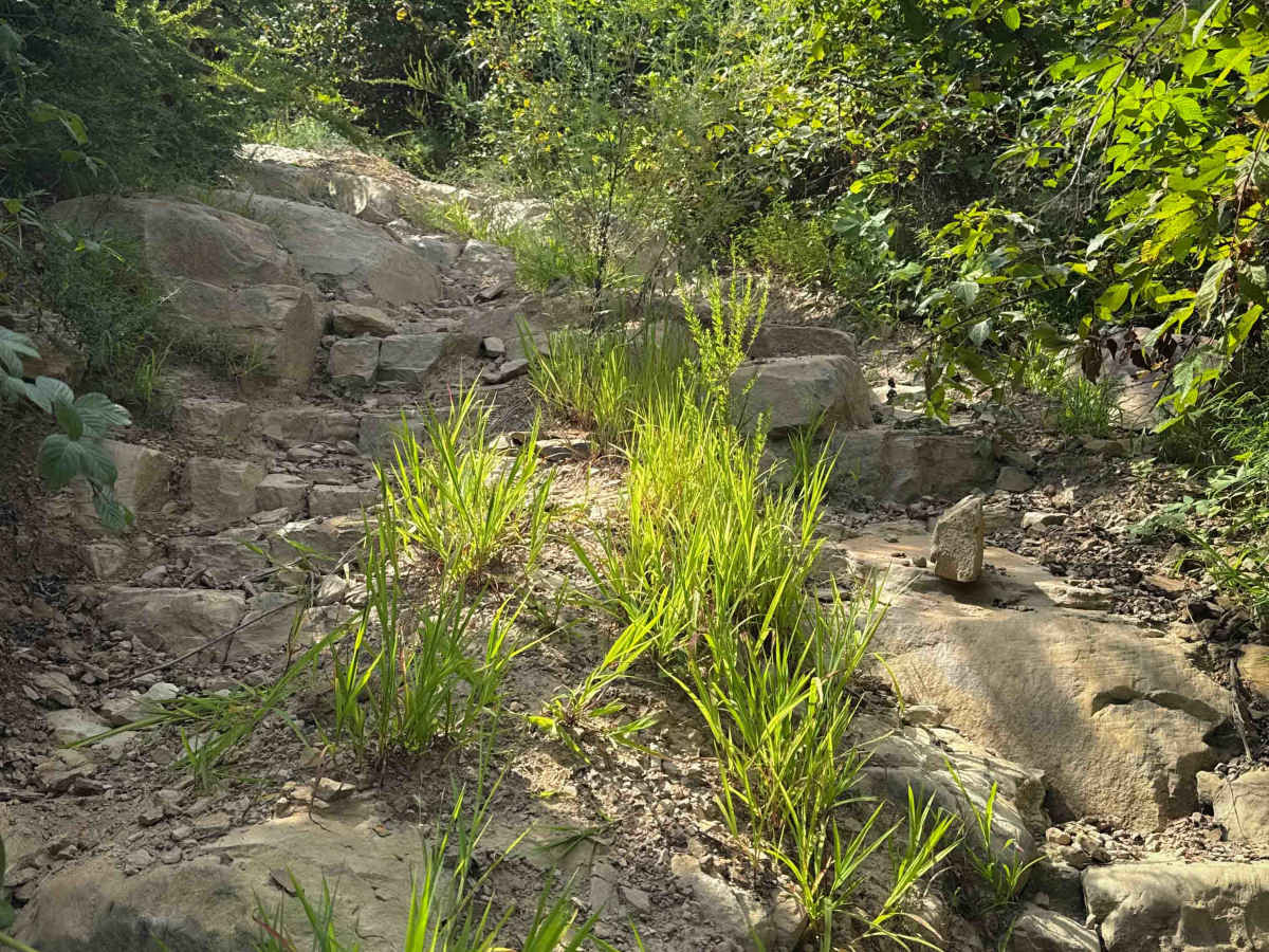 Shack Creek Connector   trail photo