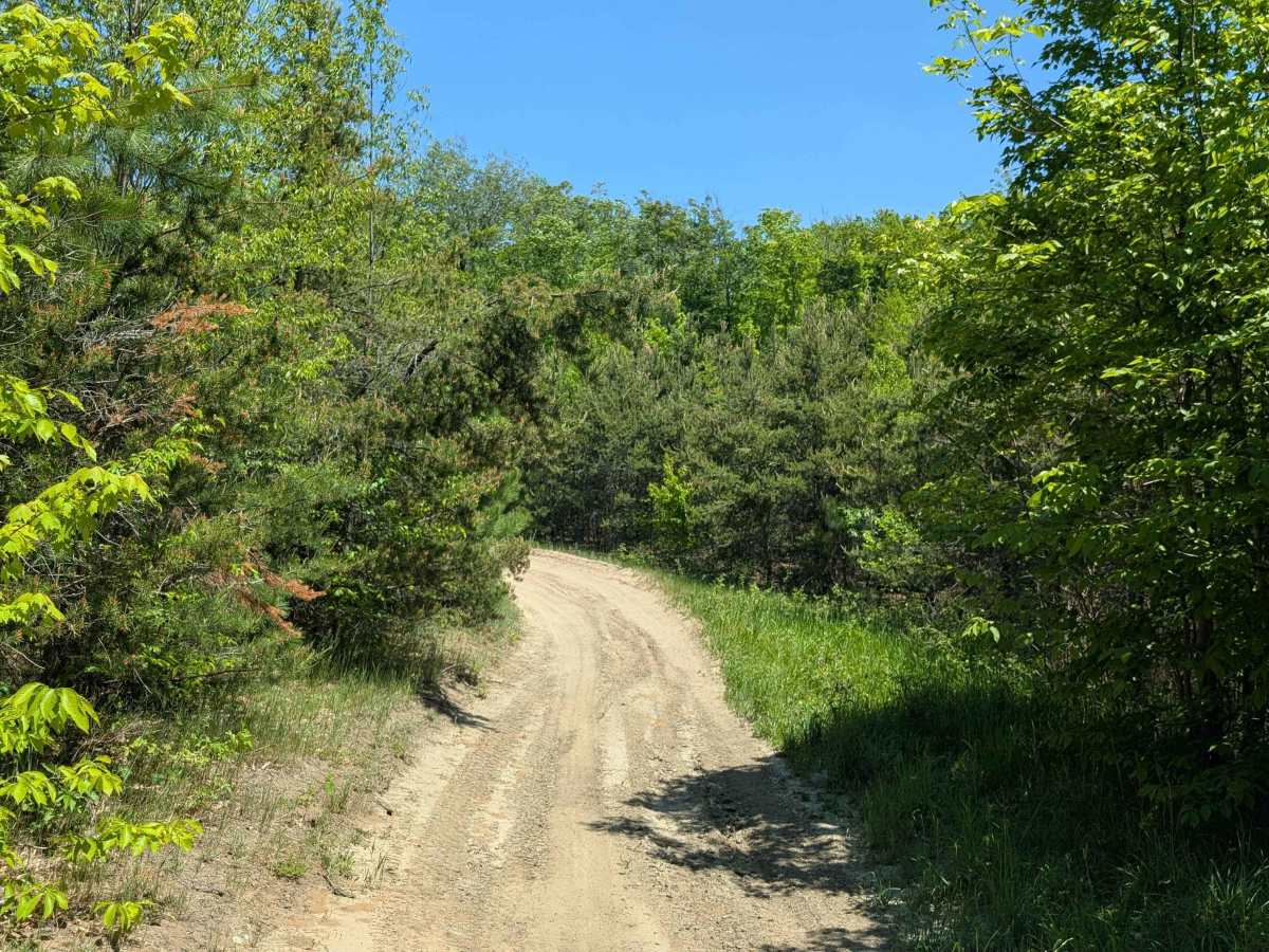 Simpson Trail photo 2