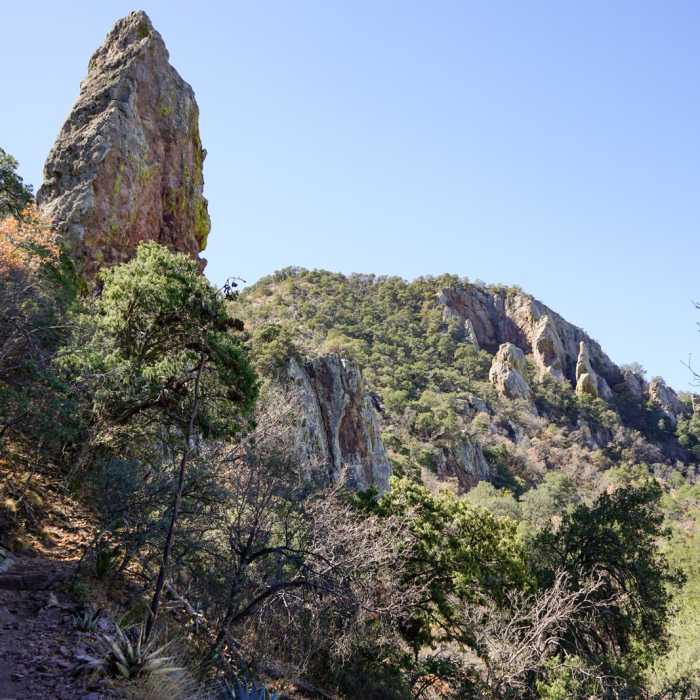 Near Emory Peak via Pinnacles Trail