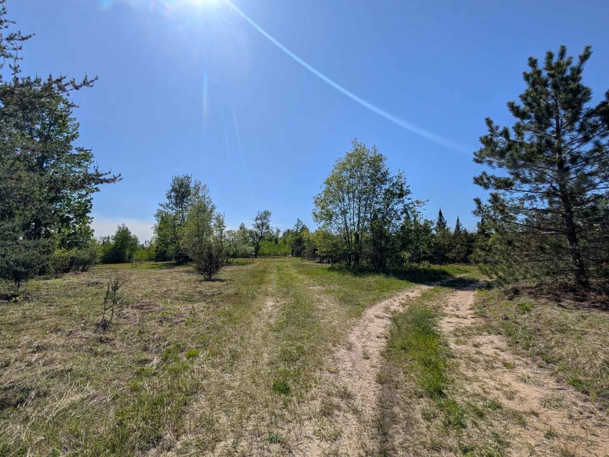 Huntfield Trail photo 4