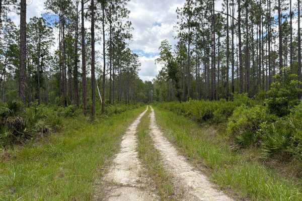 Sandy Drain Road