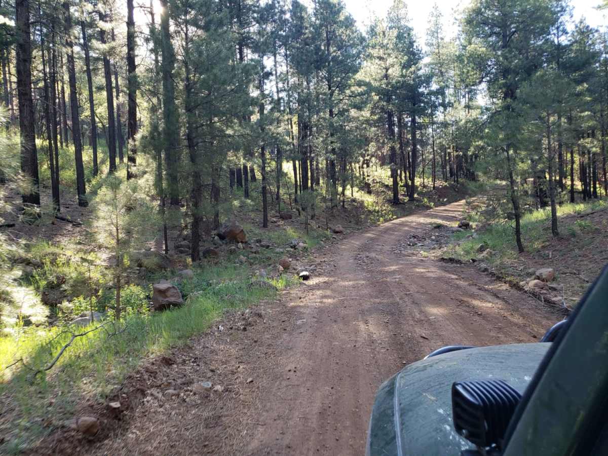 Turkey Butte photo 3