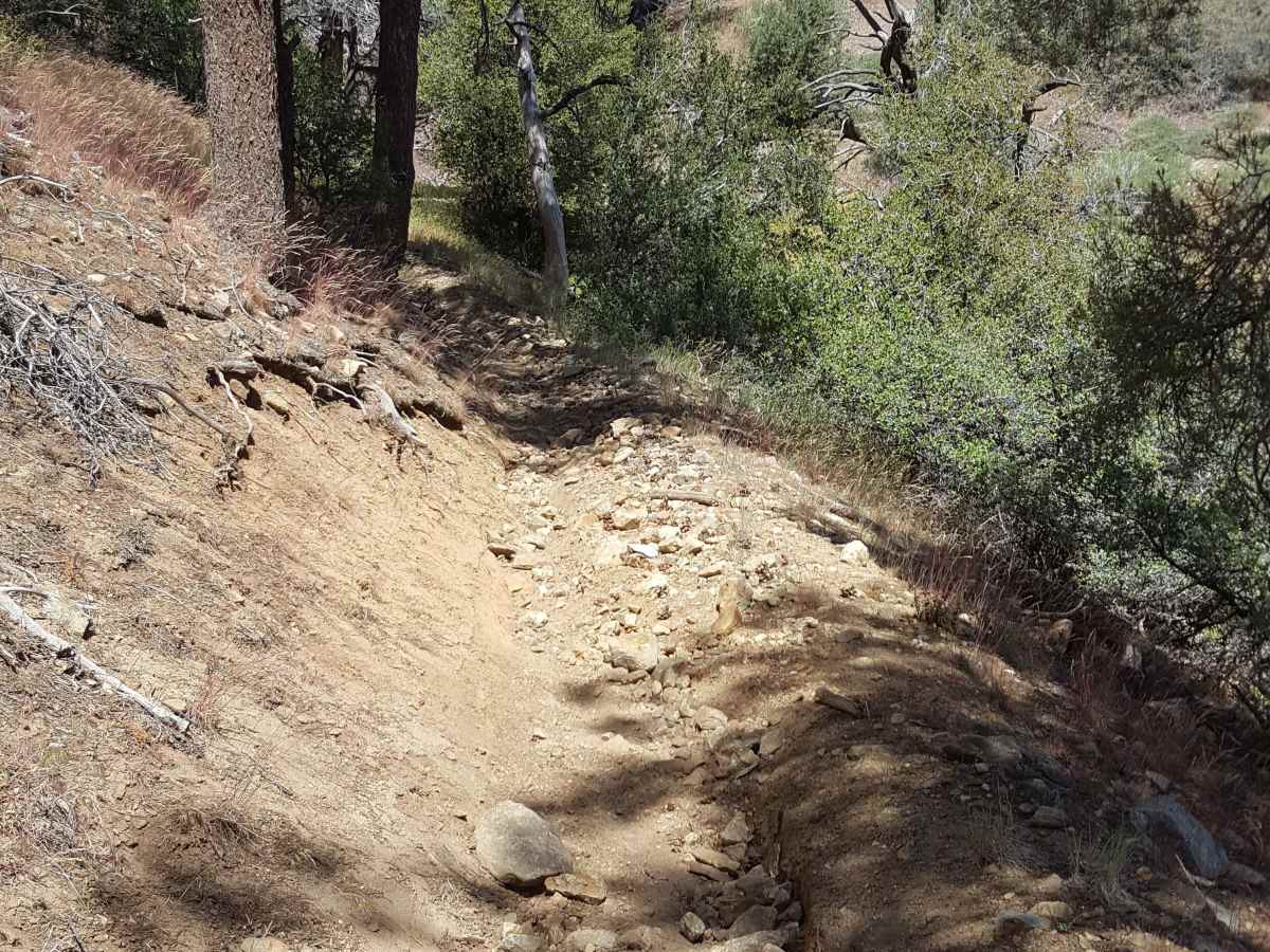 Tejon Trail - 19W03 photo 6
