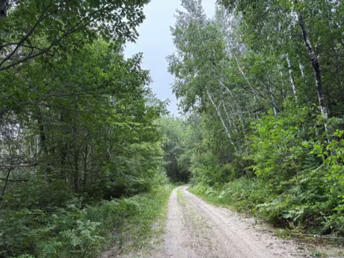 Otterkill Trail photo 4