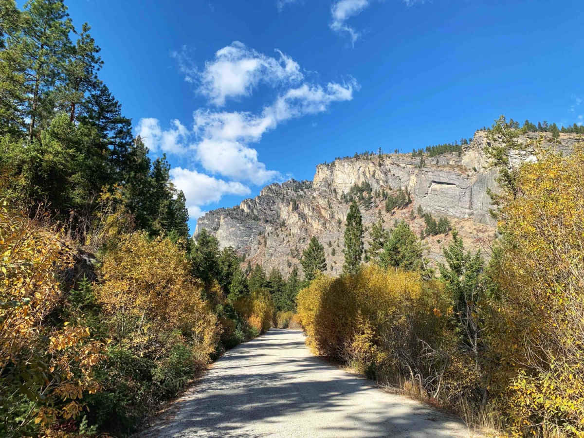 Blodgett Hiking Trail and Campground photo 3