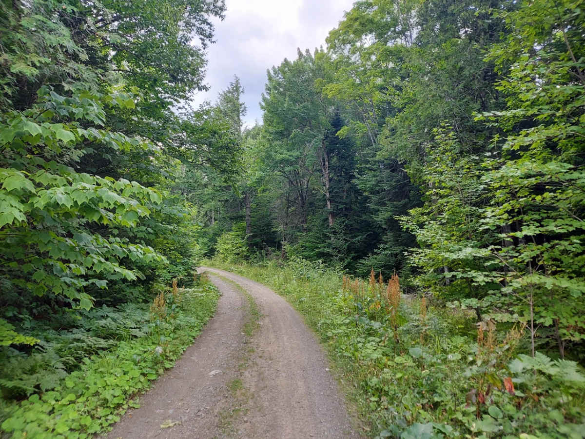 Evergreen Way photo 5
