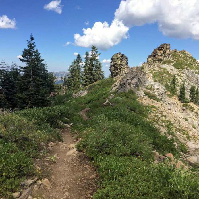 Near Tahoe Rim Trail: Barker Pass to Tahoe City