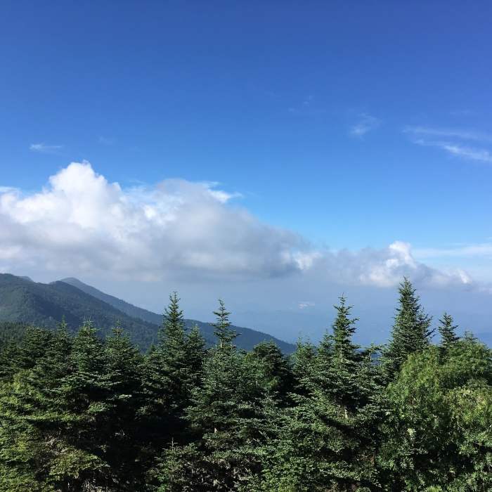 View towards Maple Bald Near Mount Mitchell Vert Marathon