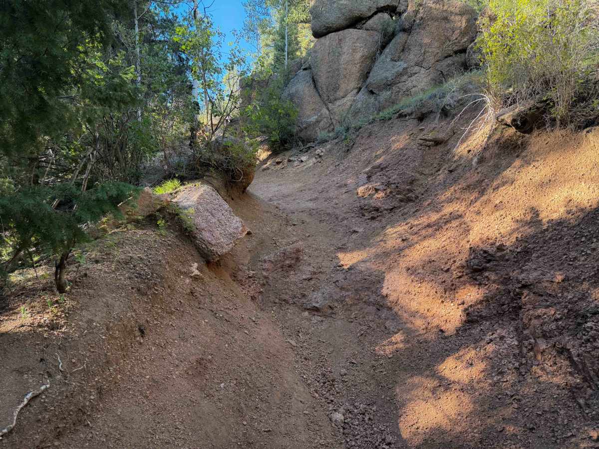 Broken Swing Arm Trail - FS 717F  trail photo