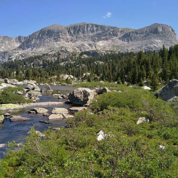 Near Cook Lake Loop Trail #7163