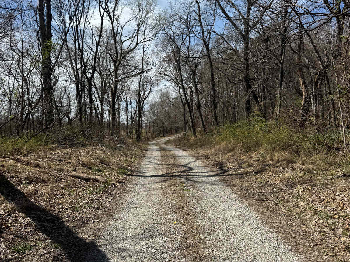 Burden Falls Road photo 4