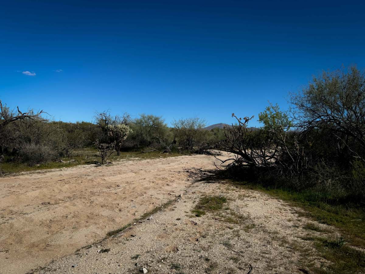 Bogard Wash  photo 2