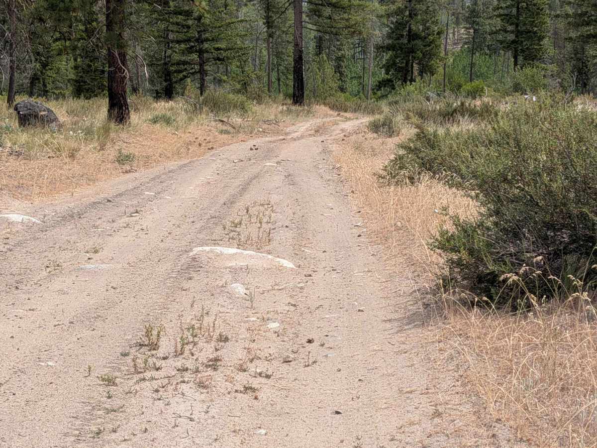 E332433F trail photo