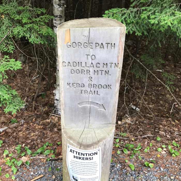 Near Cadillac and Dorr Mountain via the Gorge Path Near Cadillac and Dorr Mountain via the Gorge Path