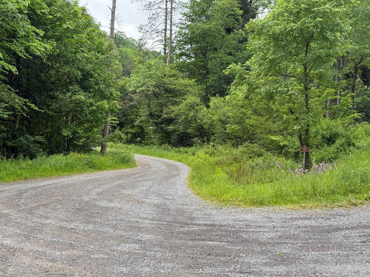 Dahoga - FS 123 trail photo